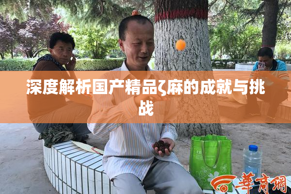 深度解析国产精品ζ麻的成就与挑战