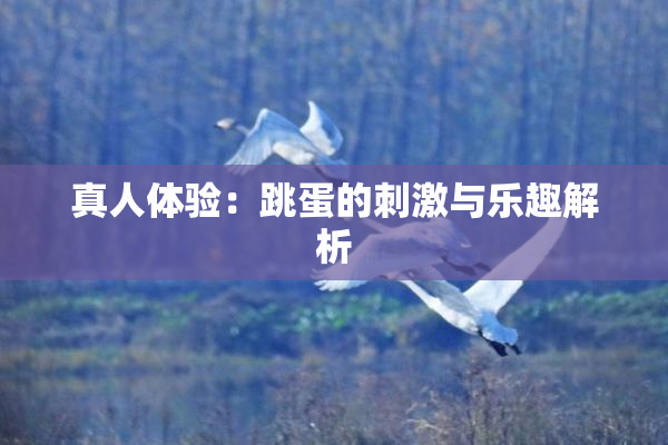 真人体验：跳蛋的刺激与乐趣解析