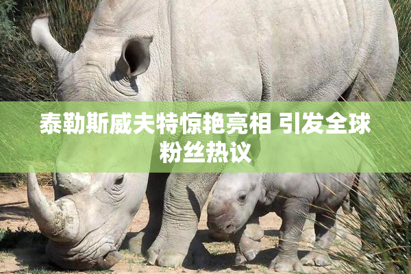 泰勒斯威夫特惊艳亮相 引发全球粉丝热议