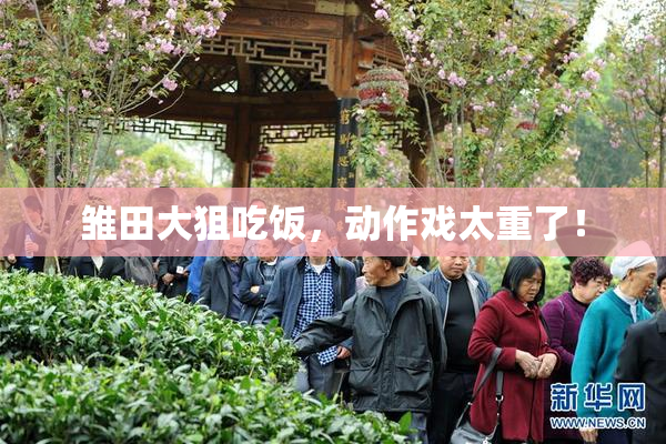 雏田大狙吃饭，动作戏太重了！