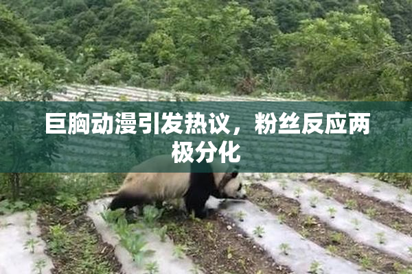 巨胸动漫引发热议，粉丝反应两极分化
