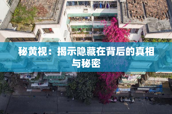 秘黄视：揭示隐藏在背后的真相与秘密