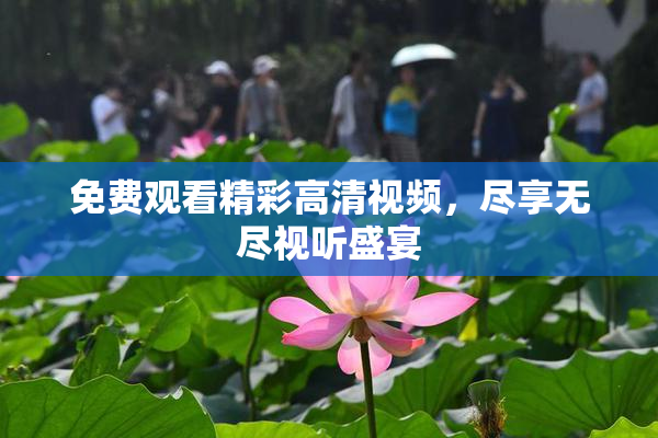 免费观看精彩高清视频，尽享无尽视听盛宴