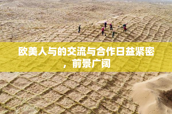 欧美人与的交流与合作日益紧密，前景广阔