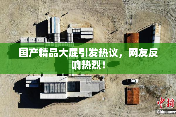 国产精品大屁引发热议，网友反响热烈！