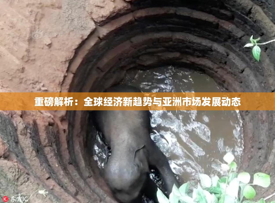 重磅解析：全球经济新趋势与亚洲市场发展动态