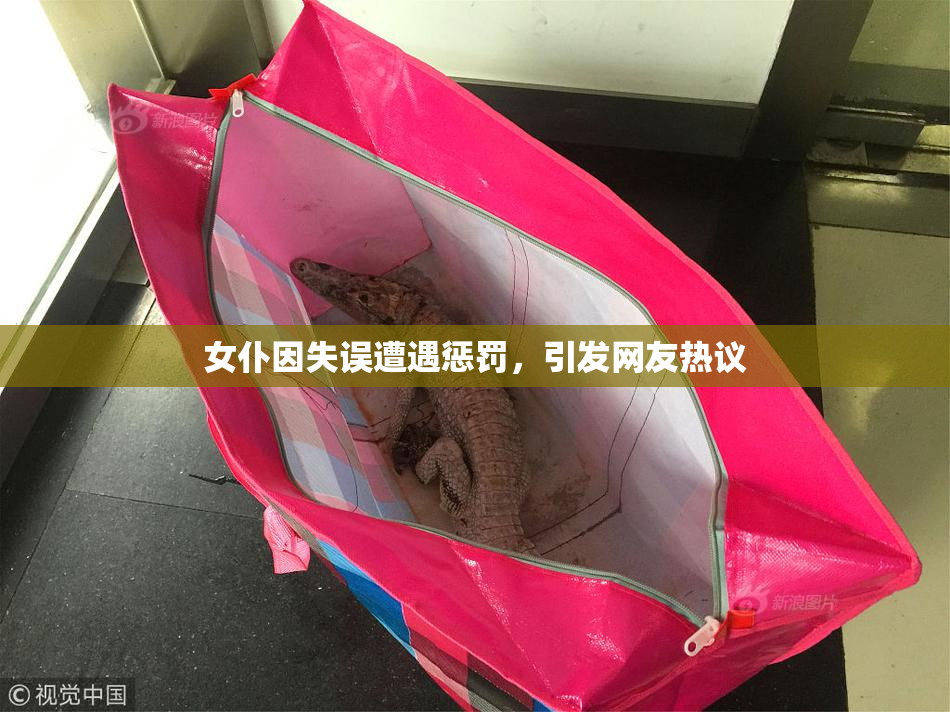 女仆因失误遭遇惩罚，引发网友热议