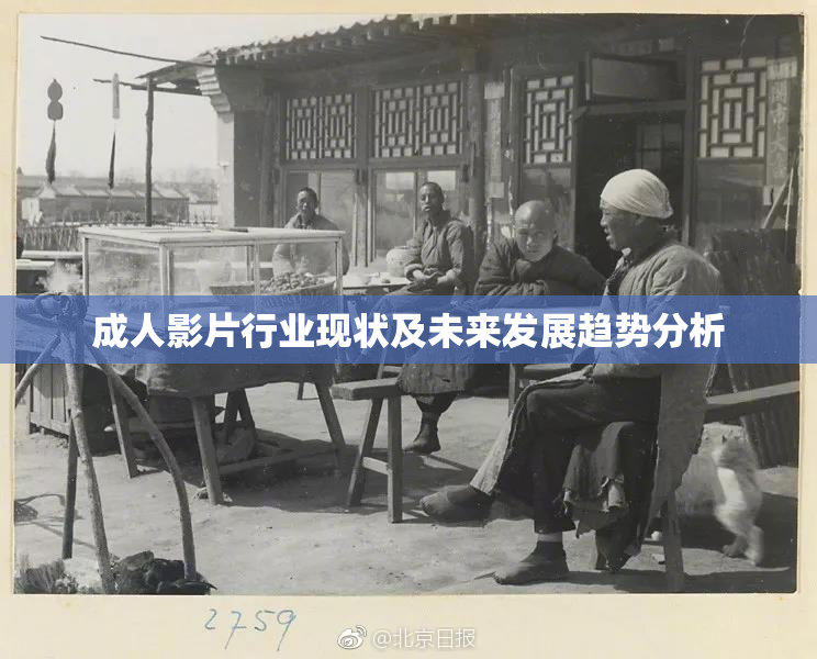 成人影片行业现状及未来发展趋势分析