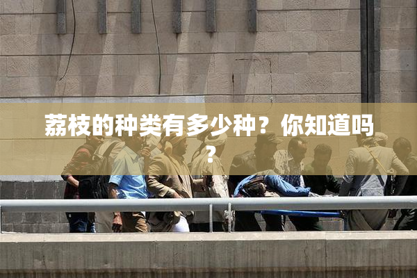 荔枝的种类有多少种？你知道吗？