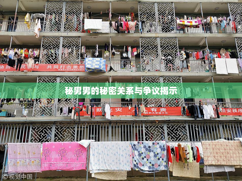 秘男男的秘密关系与争议揭示