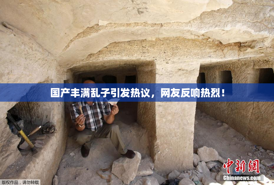 国产丰满乱子引发热议，网友反响热烈！