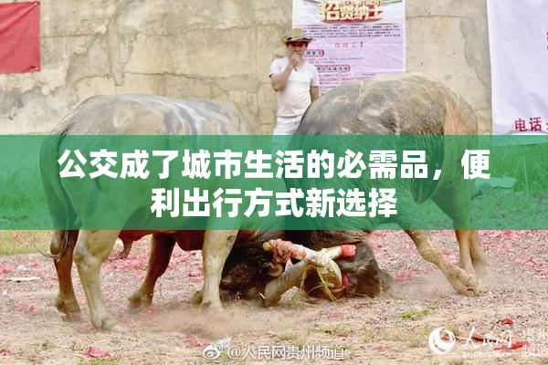 公交成了城市生活的必需品，便利出行方式新选择