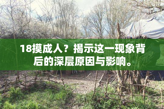 18摸成人？揭示这一现象背后的深层原因与影响。