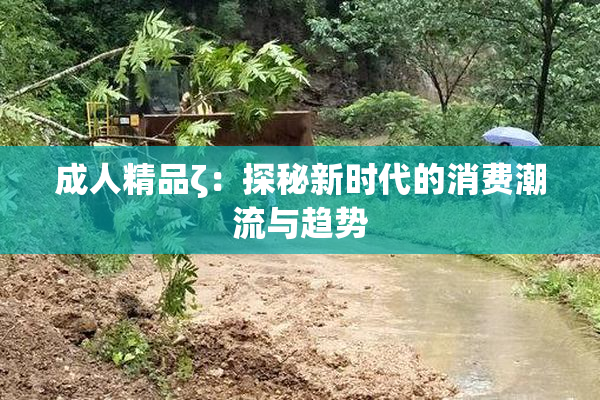 成人精品ζ：探秘新时代的消费潮流与趋势