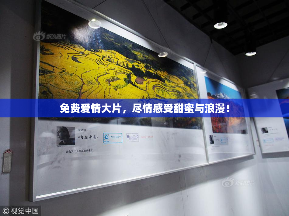 免费爱情大片，尽情感受甜蜜与浪漫！