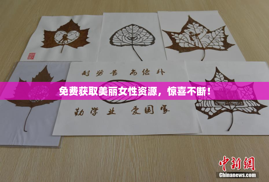 免费获取美丽女性资源，惊喜不断！