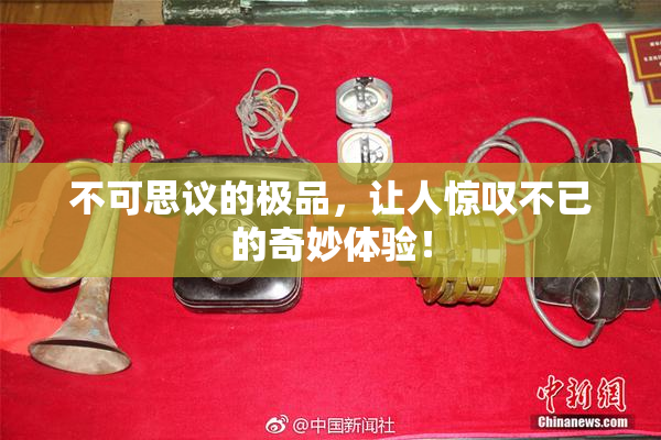 不可思议的极品，让人惊叹不已的奇妙体验！