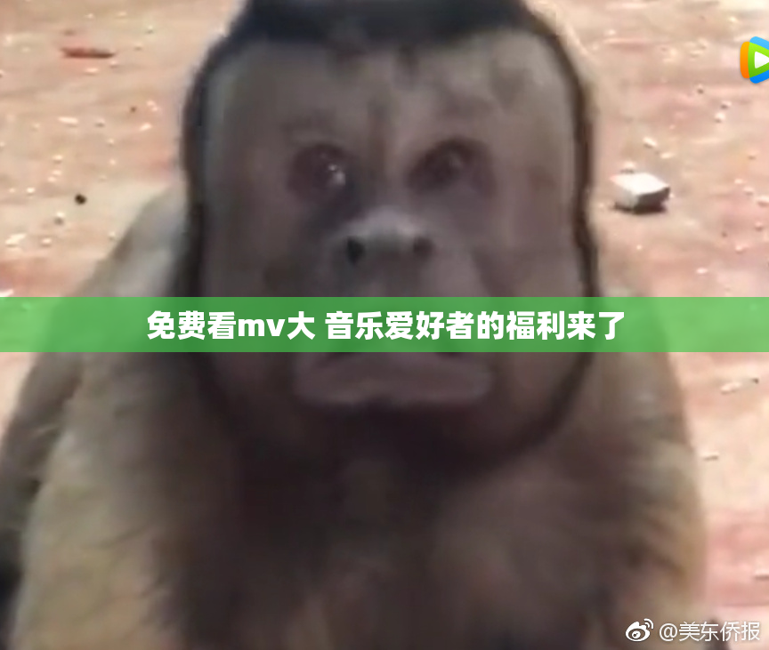 免费看mv大 音乐爱好者的福利来了
