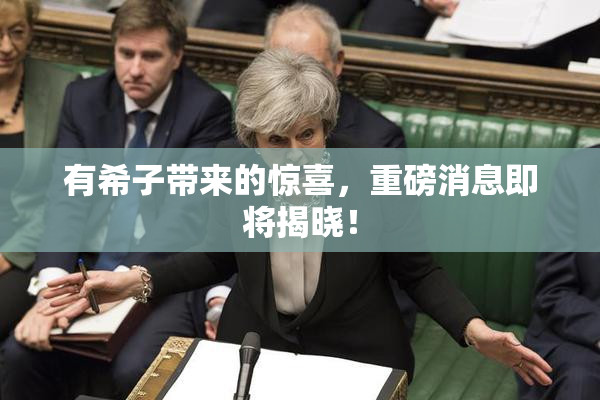 有希子带来的惊喜，重磅消息即将揭晓！