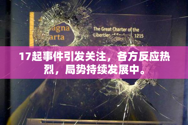 17起事件引发关注，各方反应热烈，局势持续发展中。
