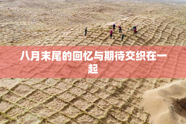 八月末尾的回忆与期待交织在一起
