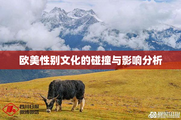 欧美性别文化的碰撞与影响分析