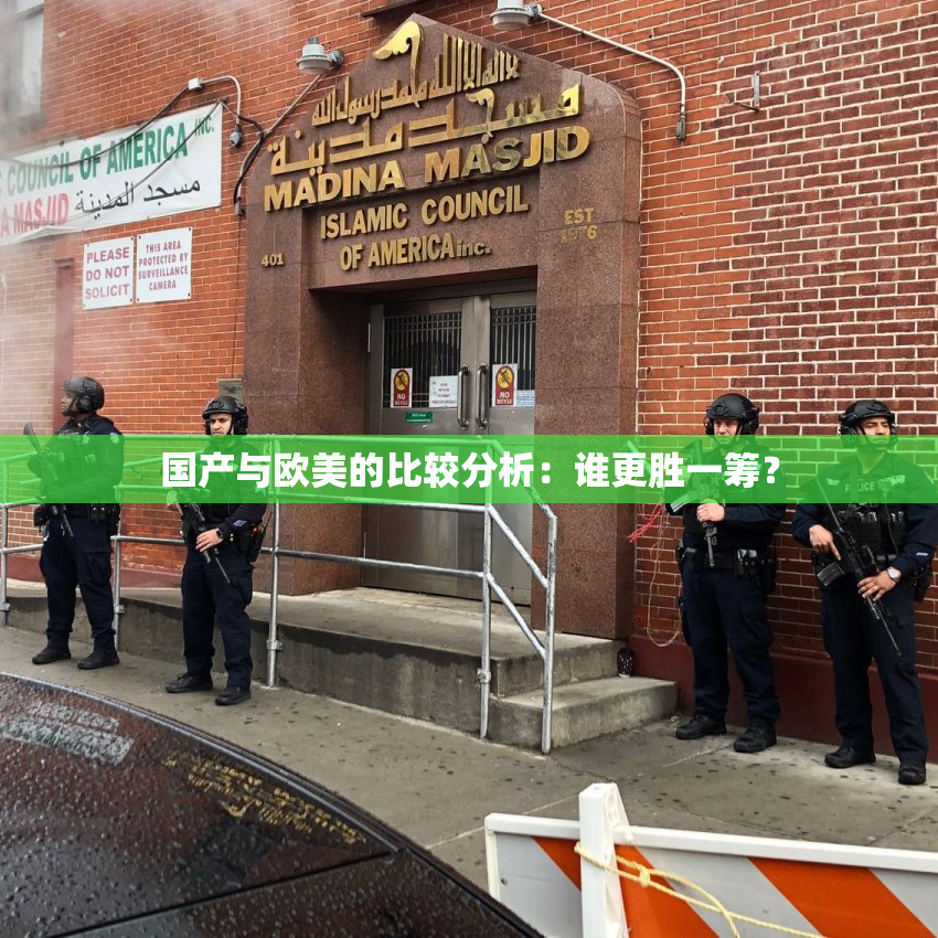 国产与欧美的比较分析：谁更胜一筹？
