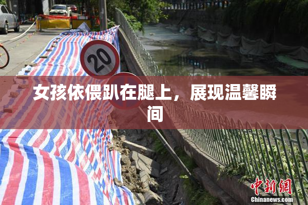 女孩依偎趴在腿上，展现温馨瞬间