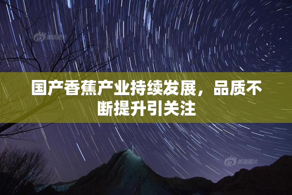 国产香蕉产业持续发展，品质不断提升引关注