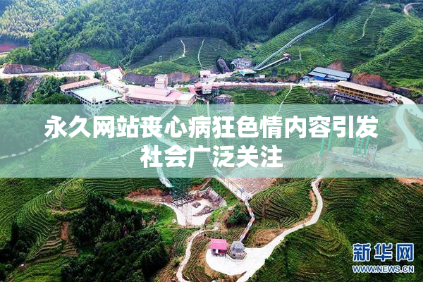 永久网站丧心病狂色情内容引发社会广泛关注