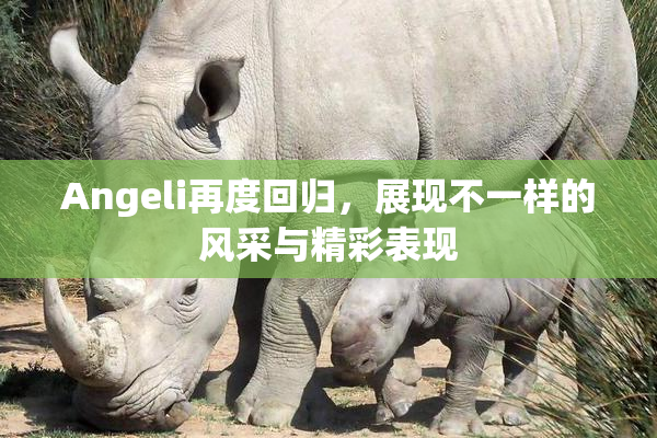 Angeli再度回归，展现不一样的风采与精彩表现