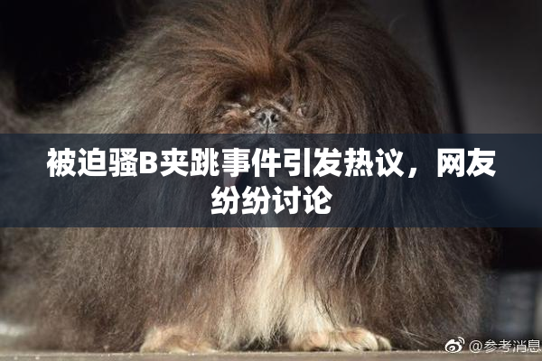 被迫骚B夹跳事件引发热议，网友纷纷讨论