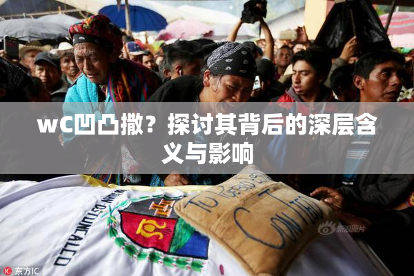 wC凹凸撒？探讨其背后的深层含义与影响