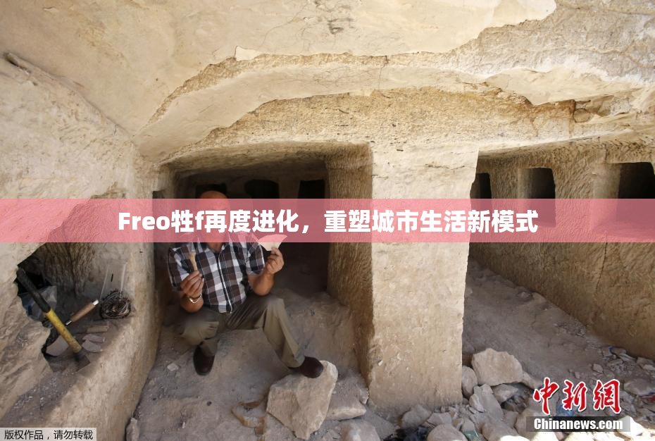 Freo牲f再度进化，重塑城市生活新模式