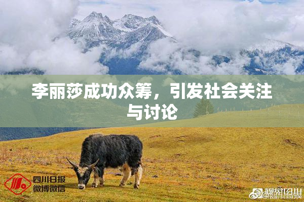 李丽莎成功众筹，引发社会关注与讨论