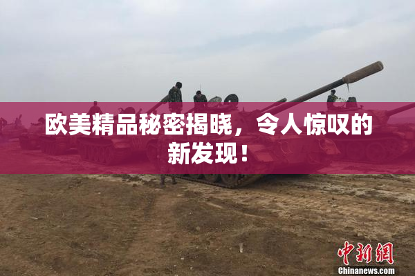 欧美精品秘密揭晓，令人惊叹的新发现！