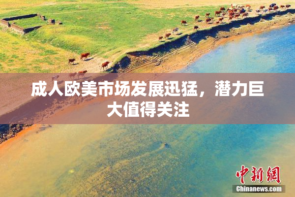 成人欧美市场发展迅猛，潜力巨大值得关注