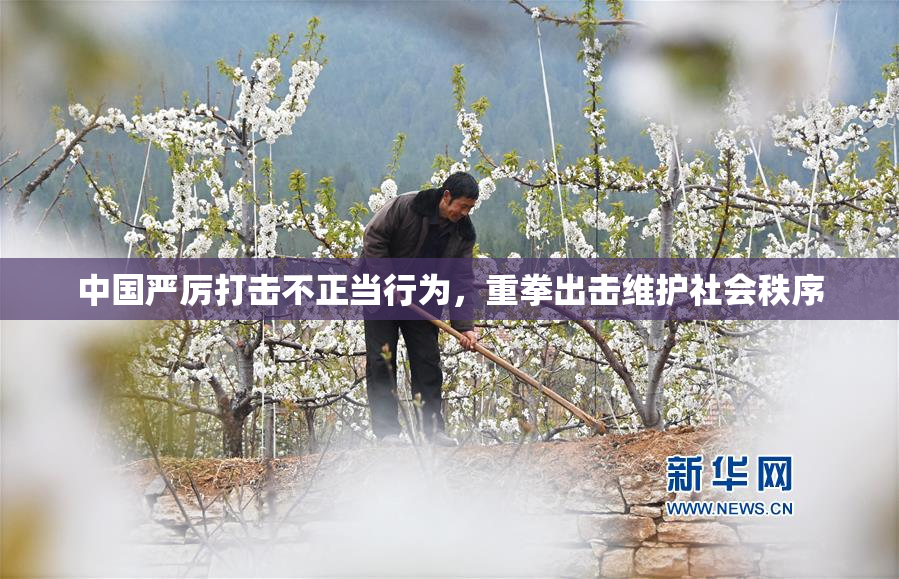 中国严厉打击不正当行为，重拳出击维护社会秩序