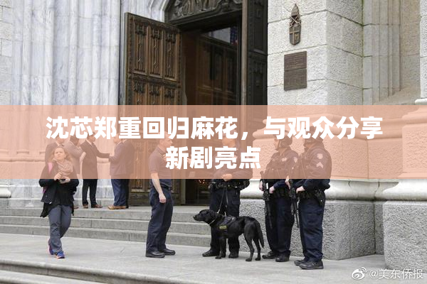沈芯郑重回归麻花，与观众分享新剧亮点