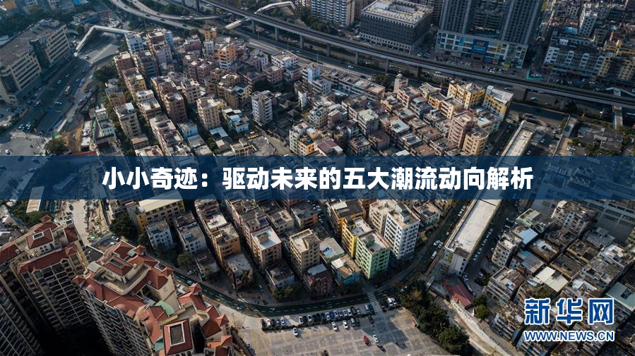 小小奇迹：驱动未来的五大潮流动向解析