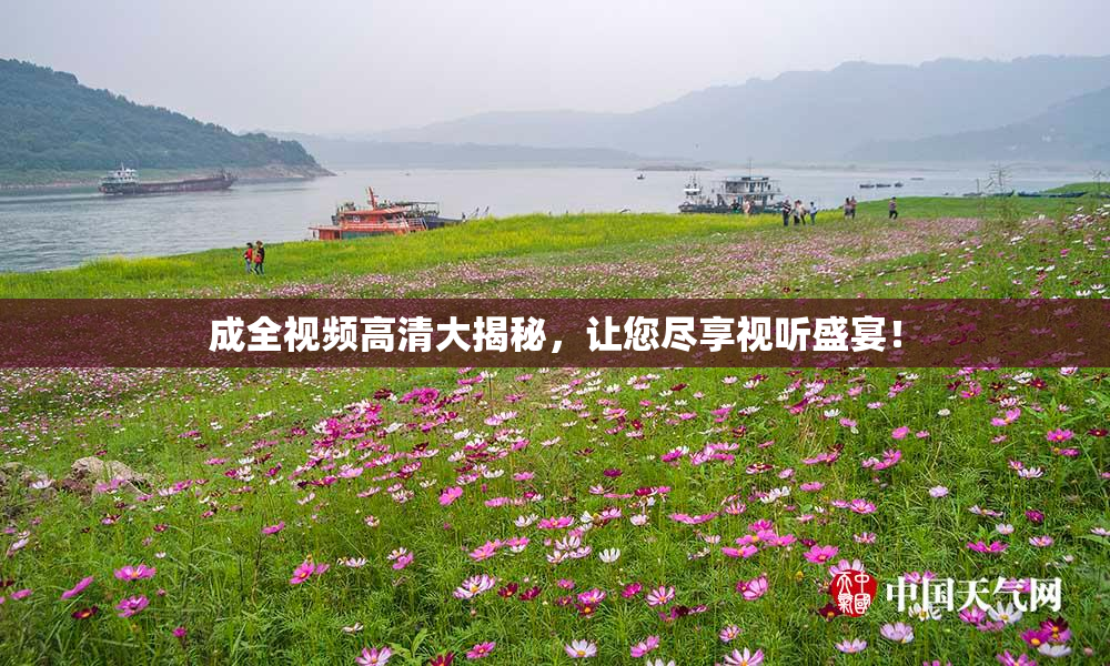 成全视频高清大揭秘，让您尽享视听盛宴！