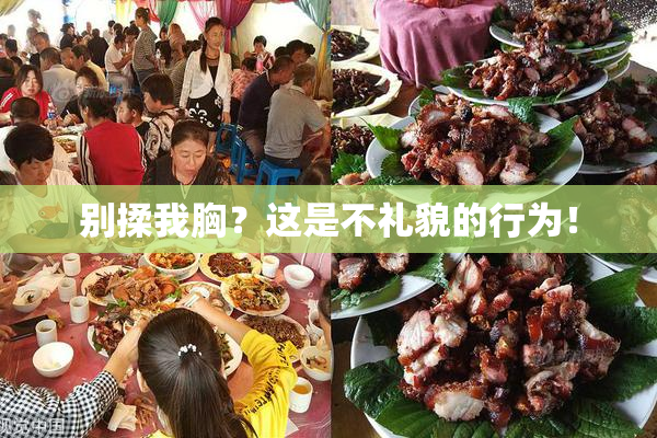 别揉我胸？这是不礼貌的行为！