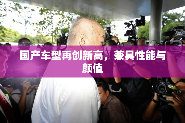 国产车型再创新高，兼具性能与颜值