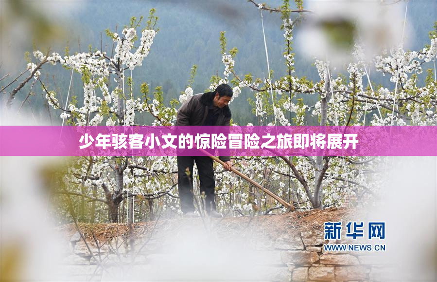 少年骇客小文的惊险冒险之旅即将展开