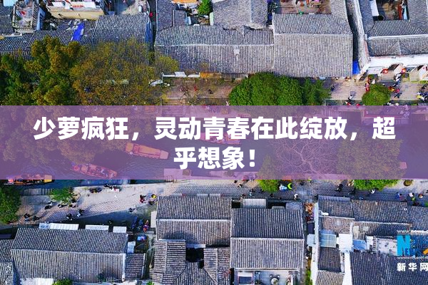 少萝疯狂，灵动青春在此绽放，超乎想象！