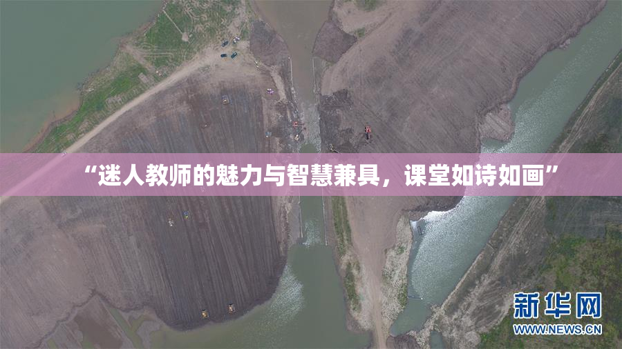 “迷人教师的魅力与智慧兼具，课堂如诗如画”