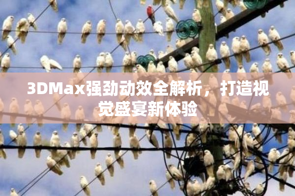 3DMax强劲动效全解析，打造视觉盛宴新体验