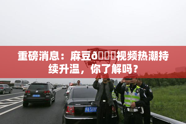 重磅消息：麻豆🔞视频热潮持续升温，你了解吗？