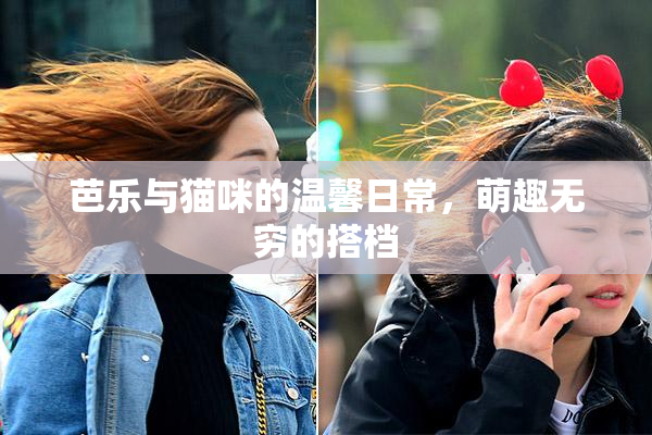 芭乐与猫咪的温馨日常，萌趣无穷的搭档