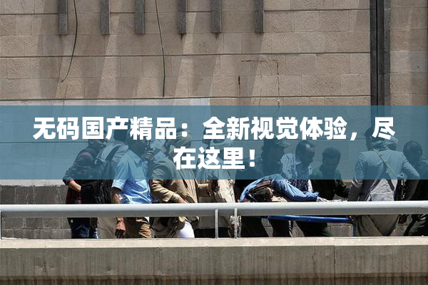 无码国产精品：全新视觉体验，尽在这里！